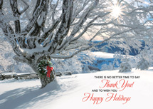 Striking Gratitude Holiday Cards